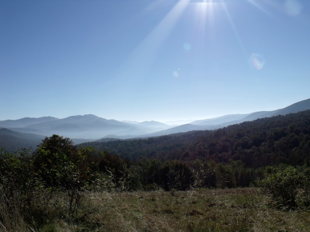 Zdjęcia: Wetlina, Bieszczady, Natura, POLSKA Zdjęcia: Wetlina, Bieszczady, Natura, POLSKA
