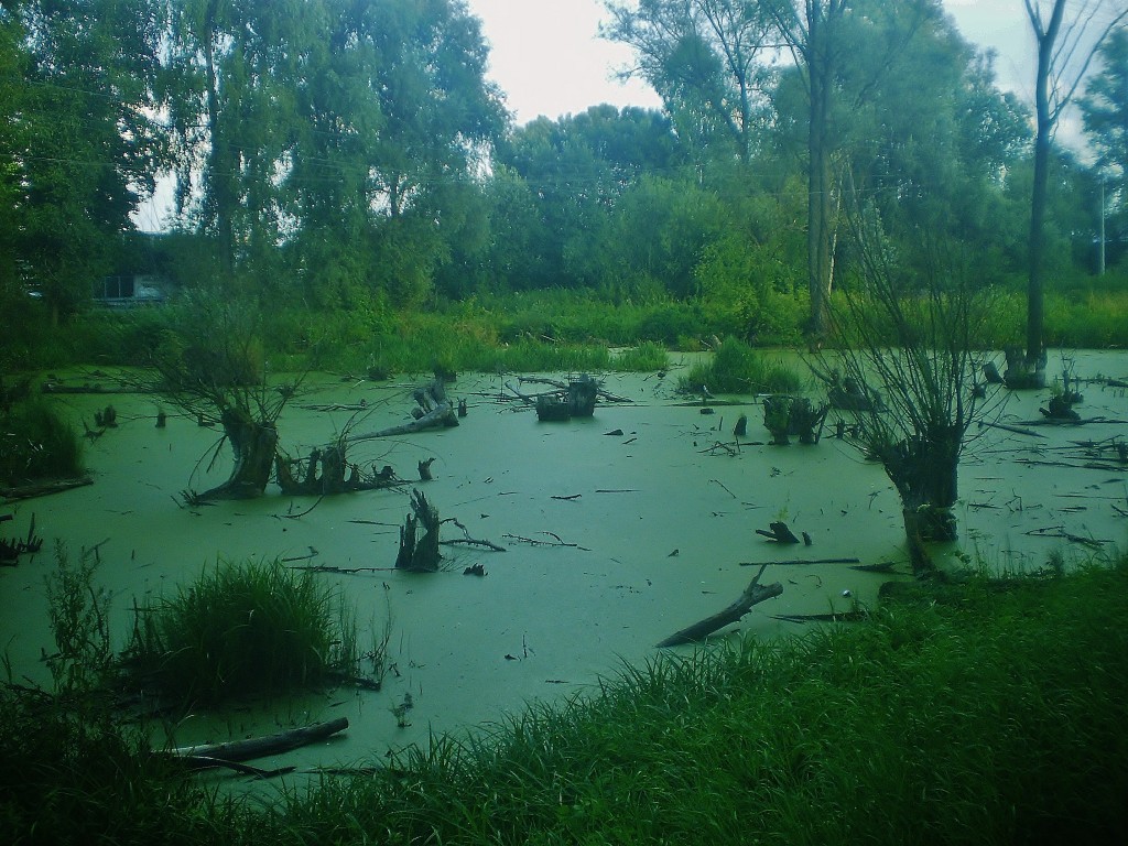 Zdjęcia: Rostki, Mazowsze, Polska wieś, POLSKA Zdjęcia: Rostki, Mazowsze, Polska wieś, POLSKA