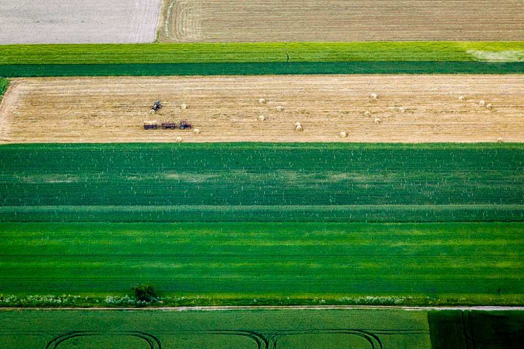 Zdjęcia: Kórnik, wielkopolskie, Żniwiarze, POLSKA Zdjęcia: Kórnik, wielkopolskie, Żniwiarze, POLSKA