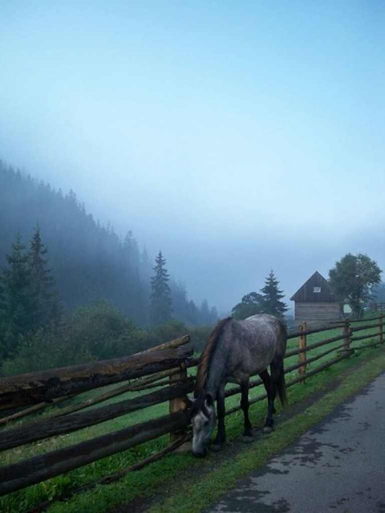 Zdjęcia: Zakopane, małopolska, Spokojny poranek w gospodarstwie, POLSKA Zdjęcia: Zakopane, małopolska, Spokojny poranek w gospodarstwie, POLSKA