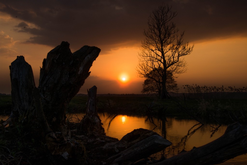 Zdjęcia: Drezdenko, Lubuskie, Amnesia, POLSKA Zdjęcia: Drezdenko, Lubuskie, Amnesia, POLSKA