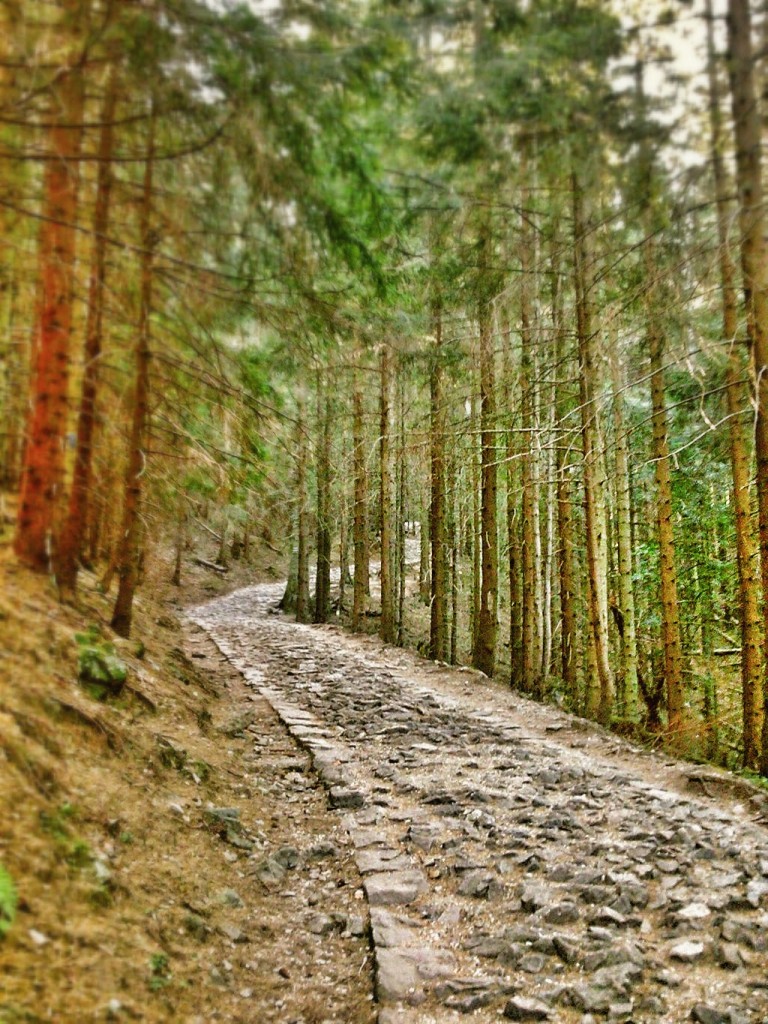 Zdjęcia: W drodze na Gąsienicową, Moje Tatry, POLSKA Zdjęcia: W drodze na Gąsienicową, Moje Tatry, POLSKA