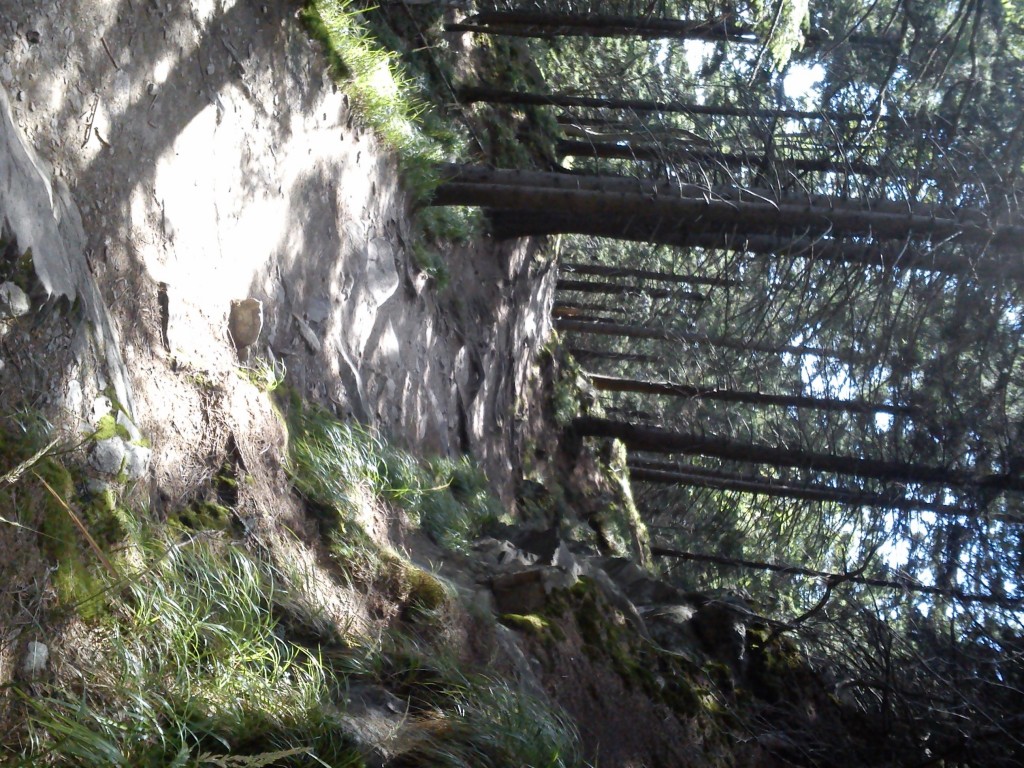 Zdjęcia: Szlak na Śnieżnik, Kotlina Kłodzka, Polskie góry są piękne, POLSKA Zdjęcia: Szlak na Śnieżnik, Kotlina Kłodzka, Polskie góry są piękne, POLSKA