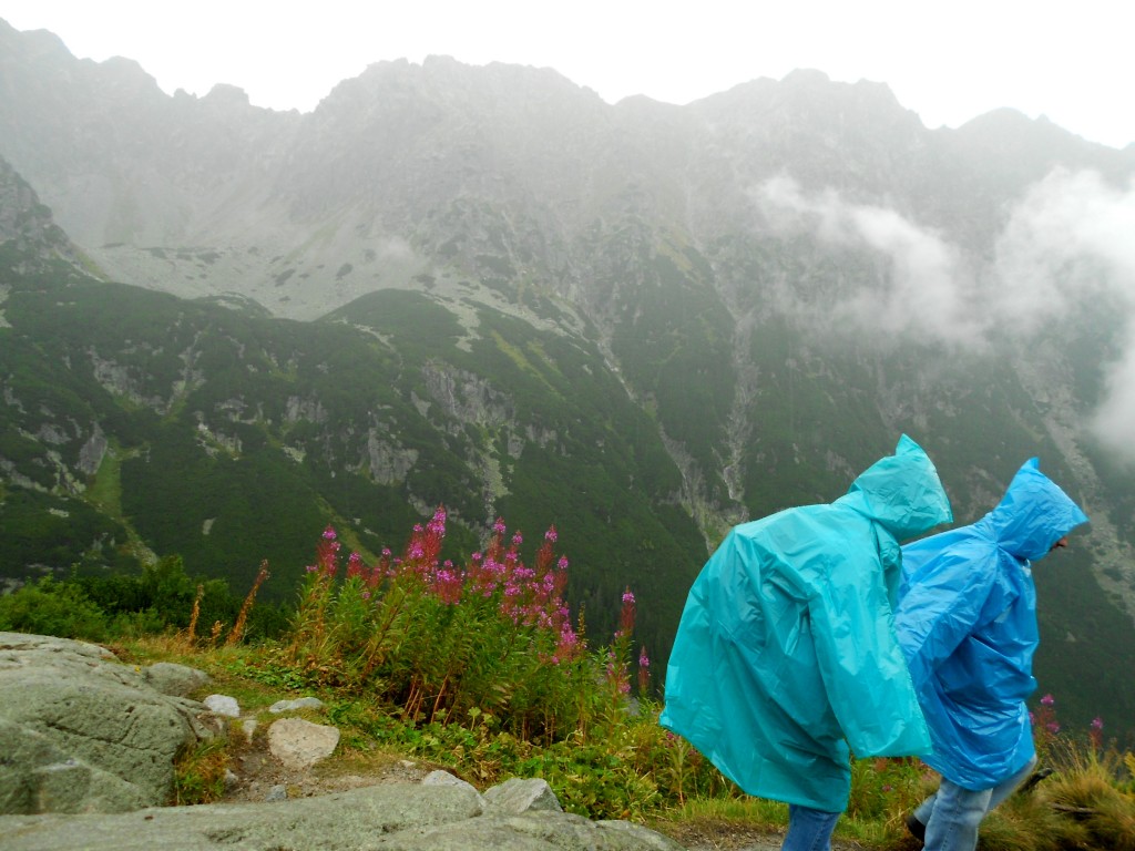 Zdjęcia: dolina pięciu stawów , Zakopane , wędrówka nad Morskie Oko , POLSKA Zdjęcia: dolina pięciu stawów , Zakopane , wędrówka nad Morskie Oko , POLSKA
