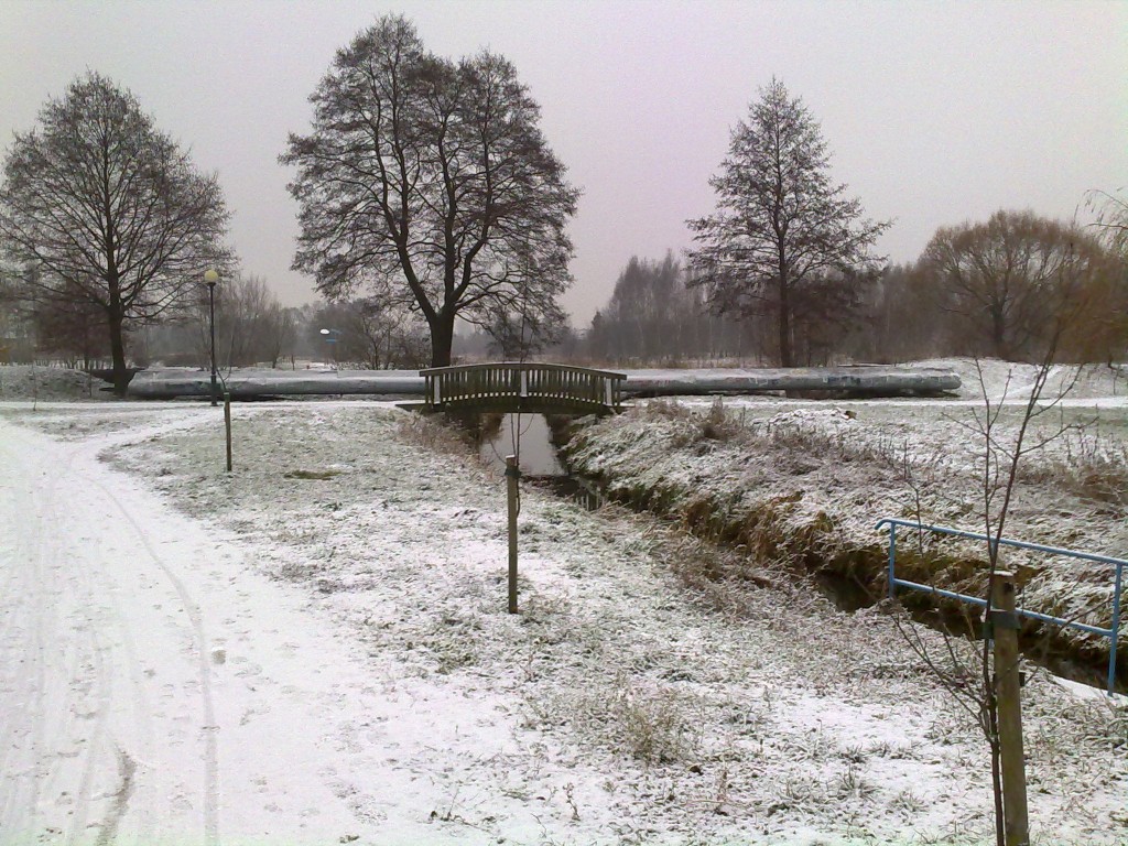 Zdjęcia: Bełchatów, Centralna Polska, Trzy drzewa, POLSKA Zdjęcia: Bełchatów, Centralna Polska, Trzy drzewa, POLSKA