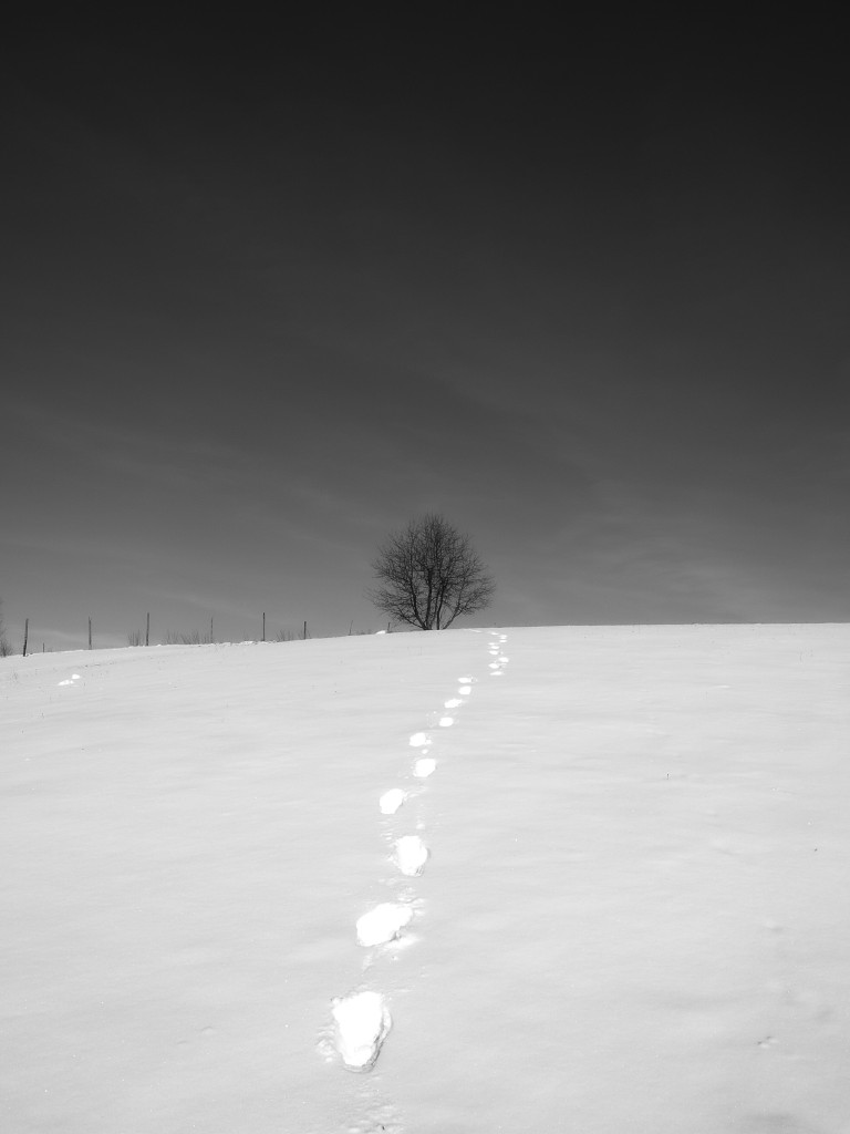 Zdjęcia: Grzegorzówka, Podkarpacie, Ślady przemijania..., POLSKA Zdjęcia: Grzegorzówka, Podkarpacie, Ślady przemijania..., POLSKA