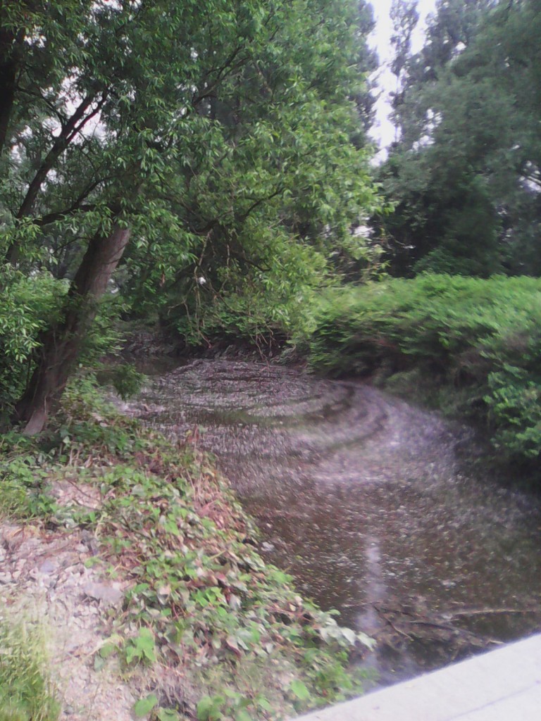 Zdjęcia: Chałupki, Śląsk, Meandry Odry, POLSKA Zdjęcia: Chałupki, Śląsk, Meandry Odry, POLSKA