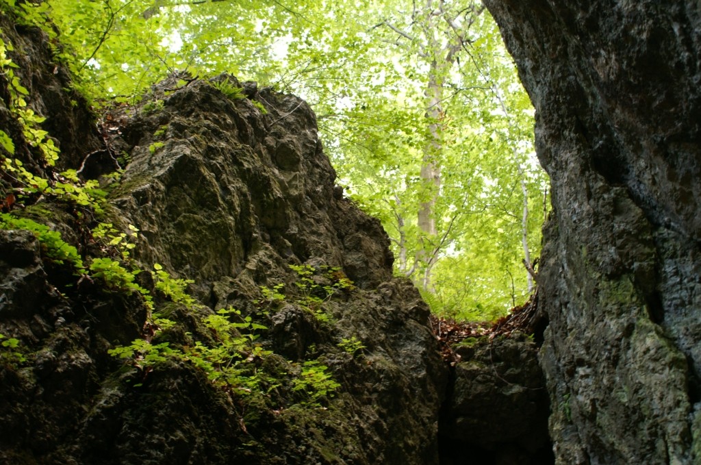 Zdjęcia: okolice Ojcowa, Jura Krakowsko - Częśtochoeska, Grota Łokietka, POLSKA Zdjęcia: okolice Ojcowa, Jura Krakowsko - Częśtochoeska, Grota Łokietka, POLSKA