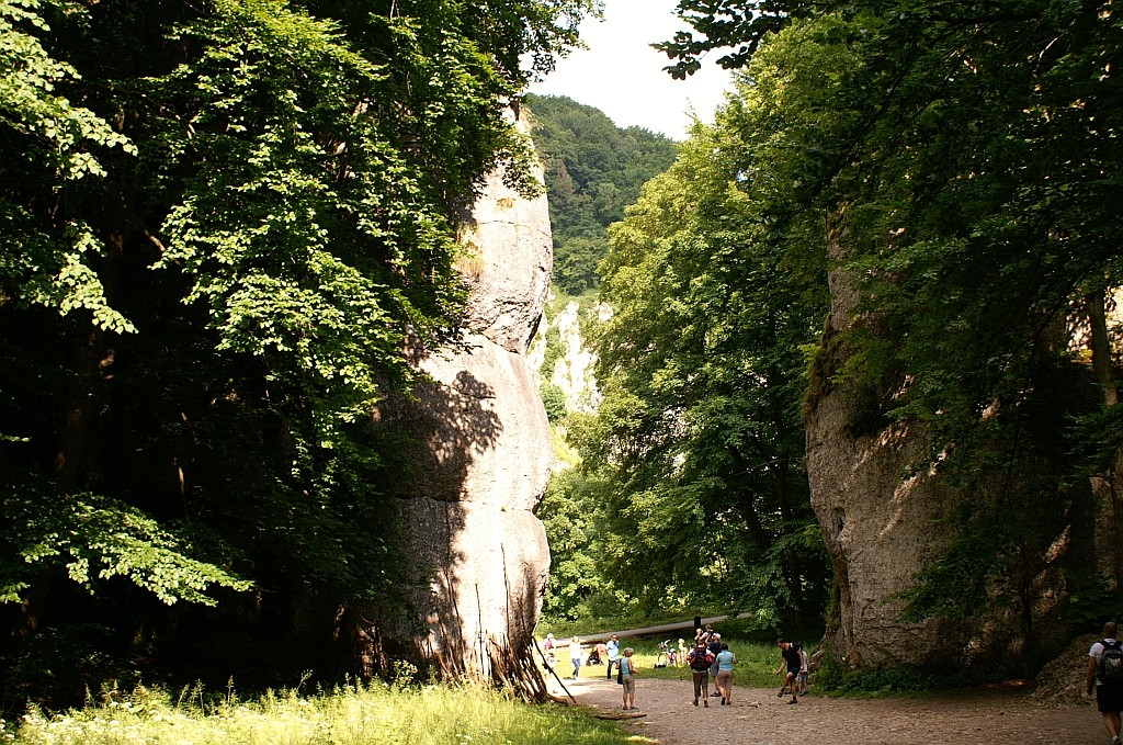 Zdjęcia: okolice Ojcowa, Jura Krakowsko - Częstochoeska, Brama Krakowska, POLSKA Zdjęcia: okolice Ojcowa, Jura Krakowsko - Częstochoeska, Brama Krakowska, POLSKA