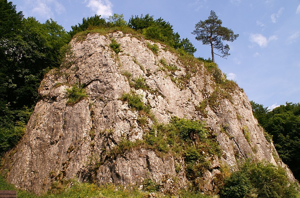Zdjęcia: okolice Ojcowa, Jura Krakowsko - Częstochowska, skałki, POLSKA Zdjęcia: okolice Ojcowa, Jura Krakowsko - Częstochowska, skałki, POLSKA