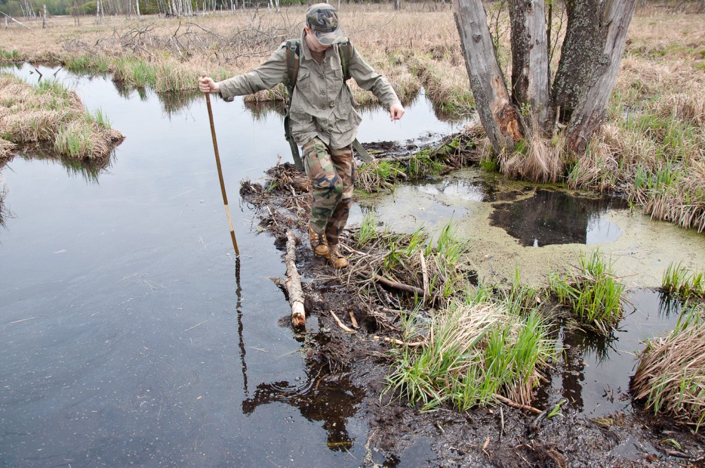 Zdjęcia: k. Kanału Marksobskiego, Mazury, Wciągająca wędrówka, POLSKA Zdjęcia: k. Kanału Marksobskiego, Mazury, Wciągająca wędrówka, POLSKA