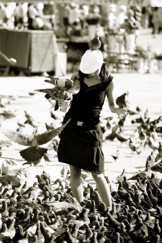 Zdjęcia: Kraków, Małopolskie, Gołębiarka, POLSKA Zdjęcia: Kraków, Małopolskie, Gołębiarka, POLSKA