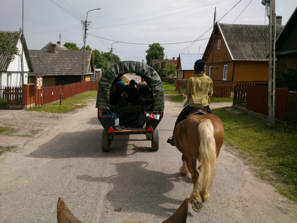 Zdjęcia: okolice wsi Bohoniki, Podlasie, Konno przez Podlasie, POLSKA Zdjęcia: okolice wsi Bohoniki, Podlasie, Konno przez Podlasie, POLSKA