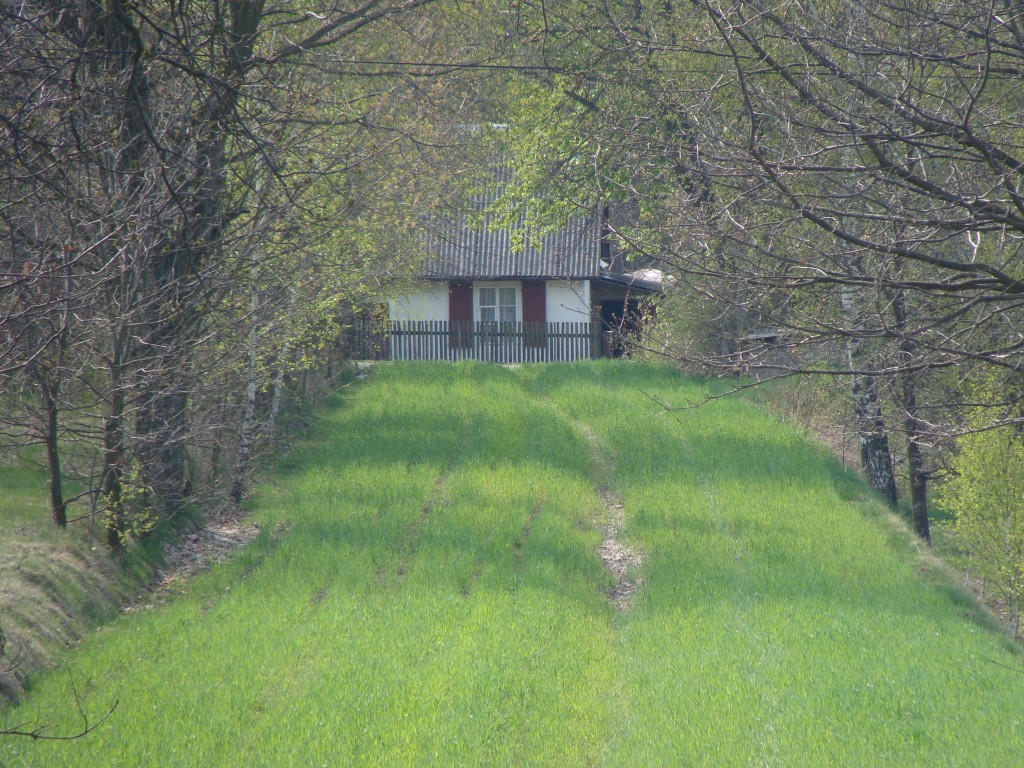 Zdjęcia: stoczek, lubelszczyzna, zacisze, POLSKA Zdjęcia: stoczek, lubelszczyzna, zacisze, POLSKA