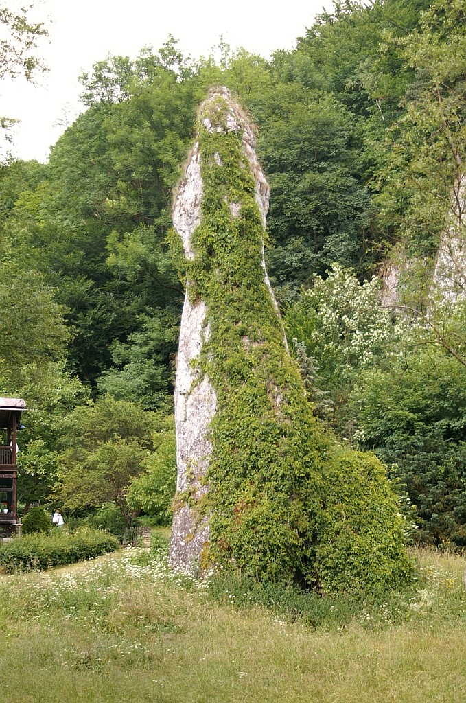 Zdjęcia: okolice Ojcowa, Jura Krakowsko - Częstochowska, skałka "Igła Deotymy", POLSKA Zdjęcia: okolice Ojcowa, Jura Krakowsko - Częstochowska, skałka "Igła Deotymy", POLSKA