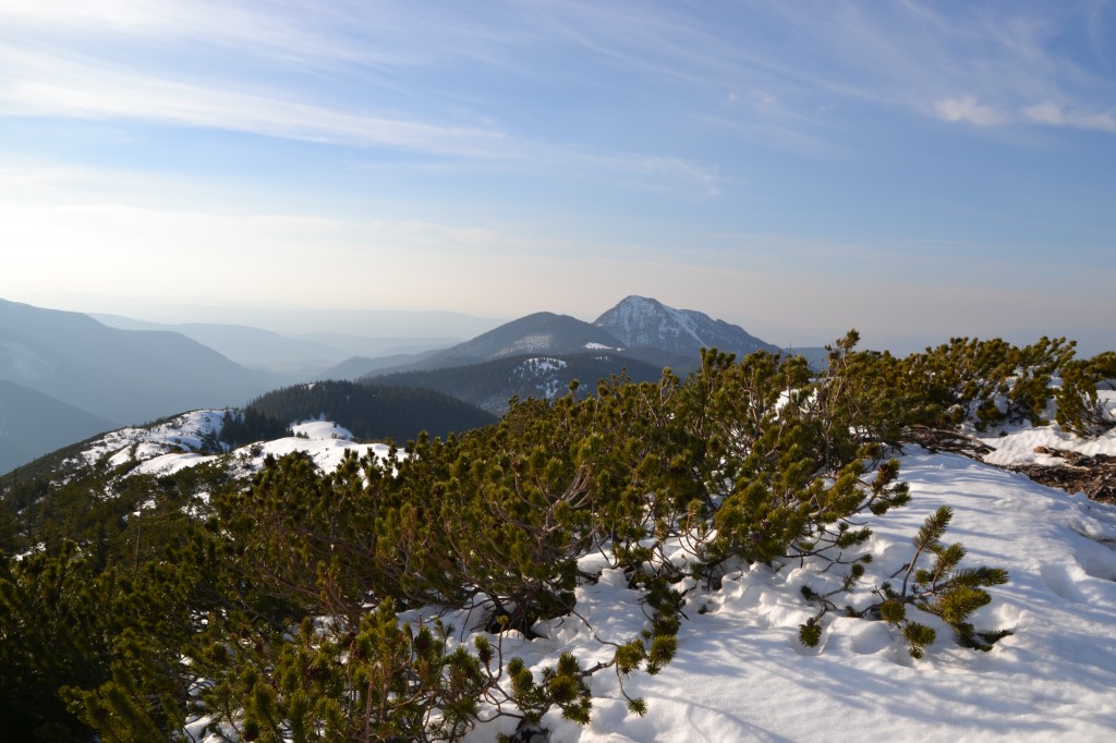 Zdjęcia: Tatry Zachodnie, Osobita, POLSKA Zdjęcia: Tatry Zachodnie, Osobita, POLSKA
