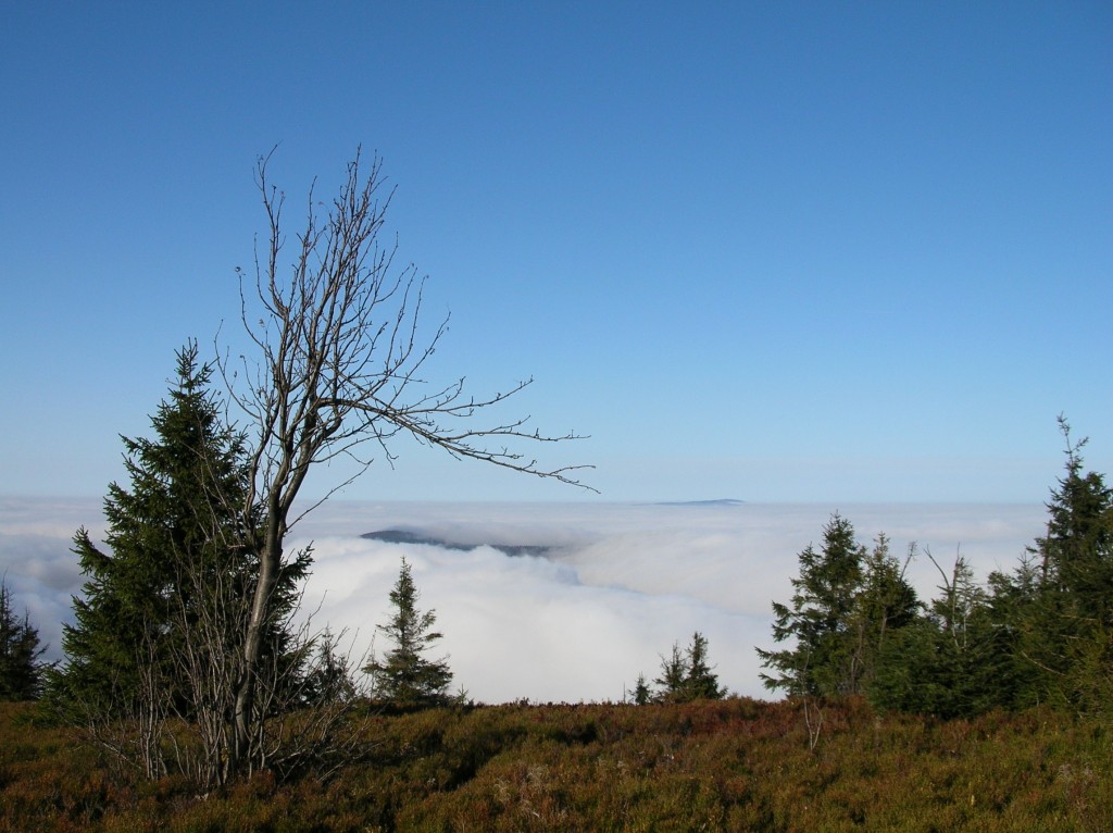 Zdjęcia: Wielka Racza, Beskid Żywiecki, W morzu mgieł, POLSKA Zdjęcia: Wielka Racza, Beskid Żywiecki, W morzu mgieł, POLSKA