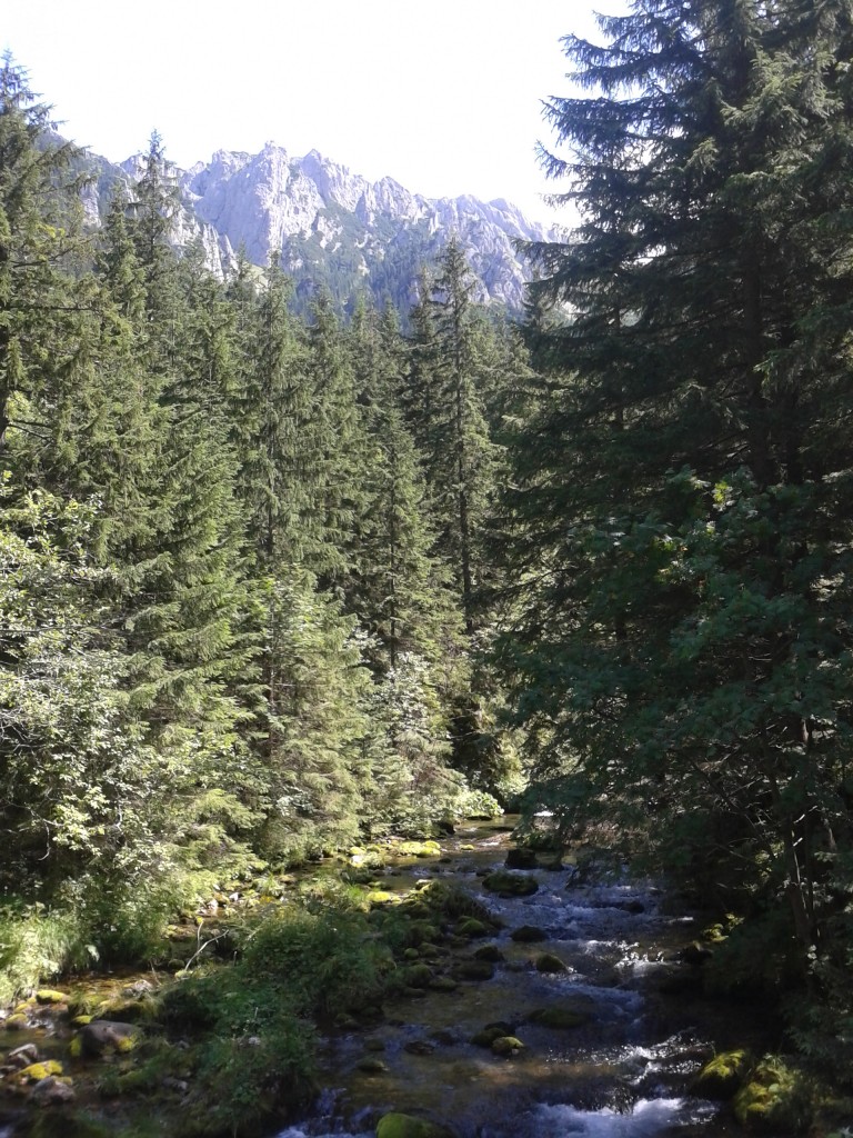 Zdjęcia: ZAKOPANE, TATRY, tatry, POLSKA Zdjęcia: ZAKOPANE, TATRY, tatry, POLSKA