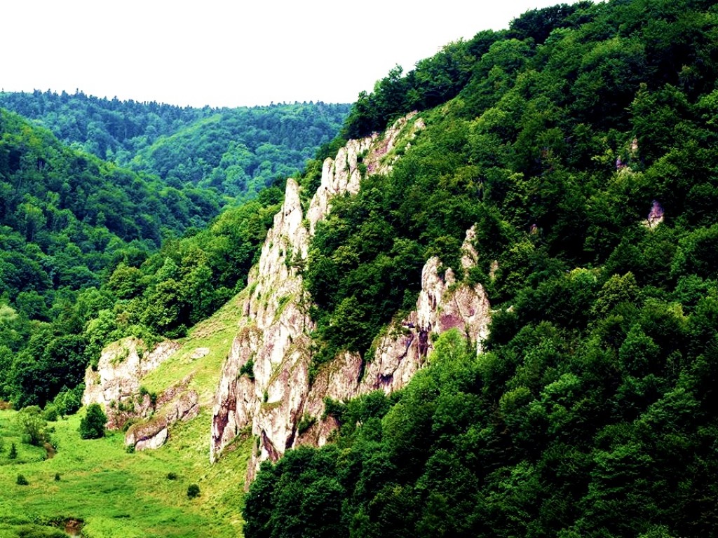 Zdjęcia: Ojcowski Park Narodowy, Małopolska, Zielonym szlakiem, POLSKA Zdjęcia: Ojcowski Park Narodowy, Małopolska, Zielonym szlakiem, POLSKA