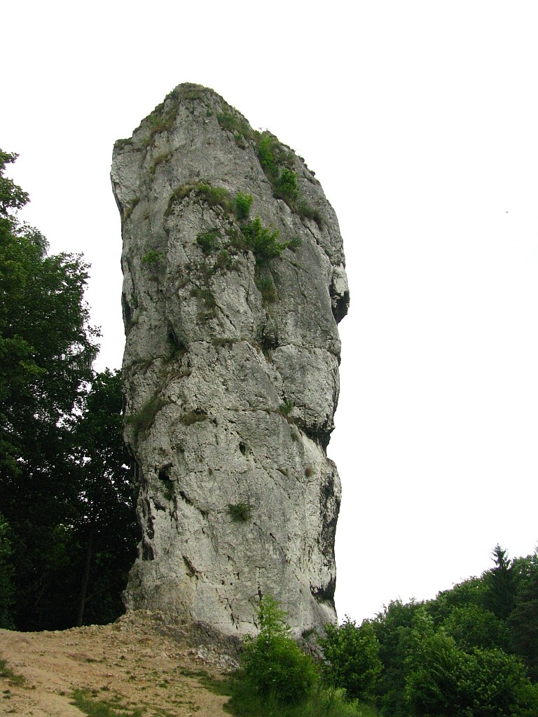 Zdjęcia: dolina Prądnika, Jura Krakowsko - Częstochowska, skałka , POLSKA Zdjęcia: dolina Prądnika, Jura Krakowsko - Częstochowska, skałka , POLSKA