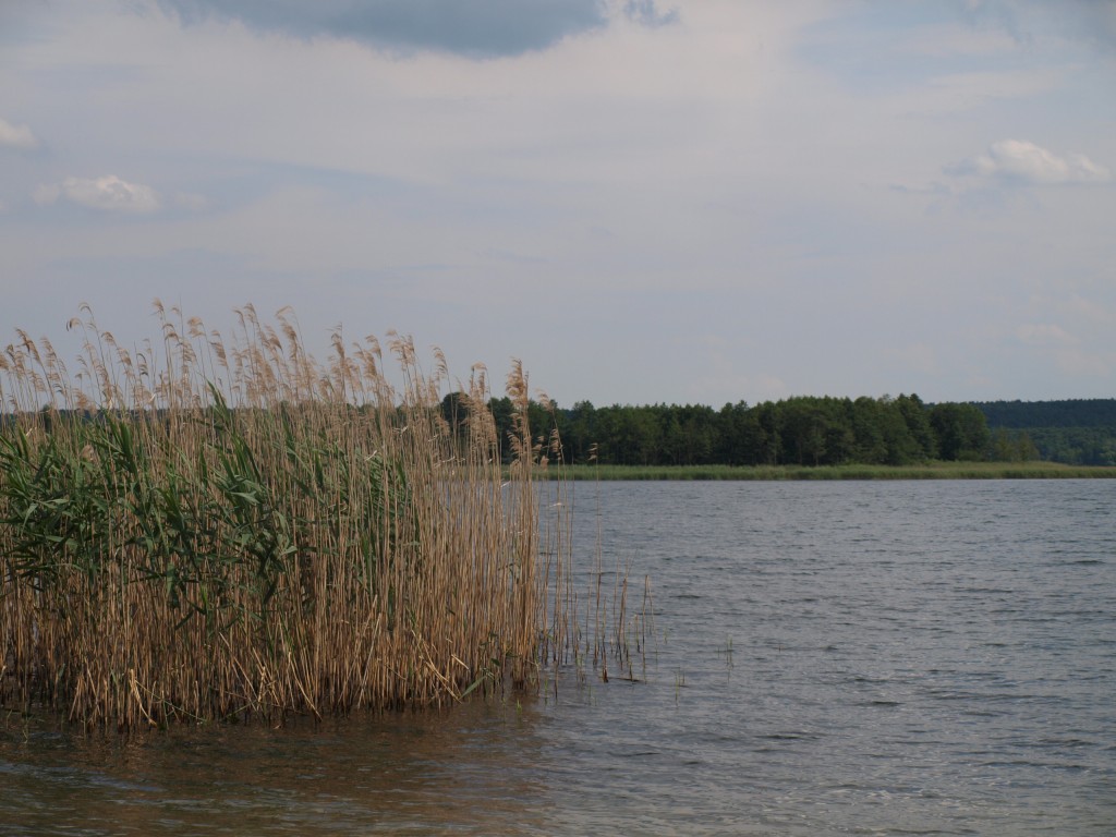 Zdjęcia: jezioro DOMINICKIE, jezioro, POLSKA Zdjęcia: jezioro DOMINICKIE, jezioro, POLSKA