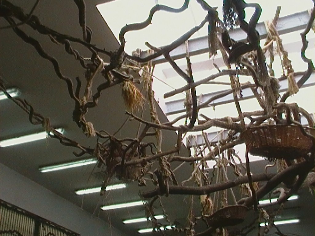 Zdjęcia: WROCŁAW ZOO, ŚPIOCHY, POLSKA Zdjęcia: WROCŁAW ZOO, ŚPIOCHY, POLSKA