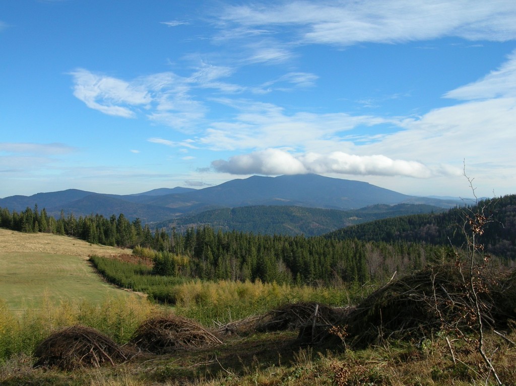 Zdjęcia: Hala Uszczawne pod Pilskiem, Beskid Żywiecki, Babia jak zwykle zachmurzona, POLSKA Zdjęcia: Hala Uszczawne pod Pilskiem, Beskid Żywiecki, Babia jak zwykle zachmurzona, POLSKA