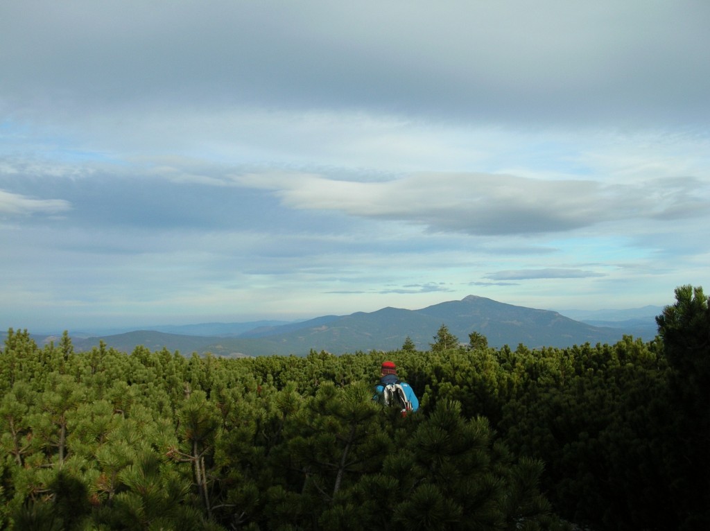 Zdjęcia: Pilsko, Beskid Żywiecki, W morzu kosówki, POLSKA Zdjęcia: Pilsko, Beskid Żywiecki, W morzu kosówki, POLSKA