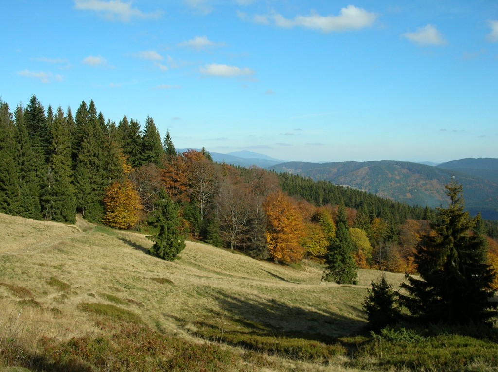 Zdjęcia: Hala Rycerzowa, Beskid Żywiecki, Idzie jesień, POLSKA Zdjęcia: Hala Rycerzowa, Beskid Żywiecki, Idzie jesień, POLSKA