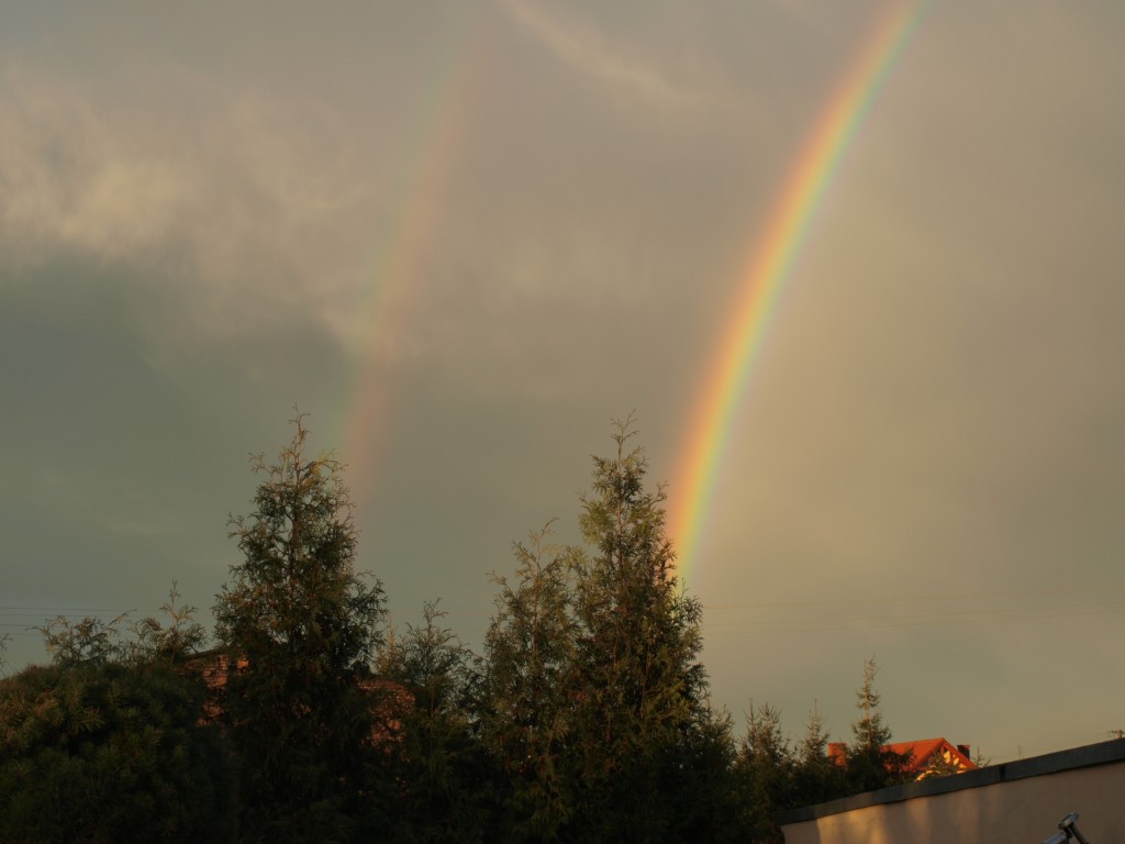 Zdjęcia: LESZNO, TĘCZA, POLSKA Zdjęcia: LESZNO, TĘCZA, POLSKA