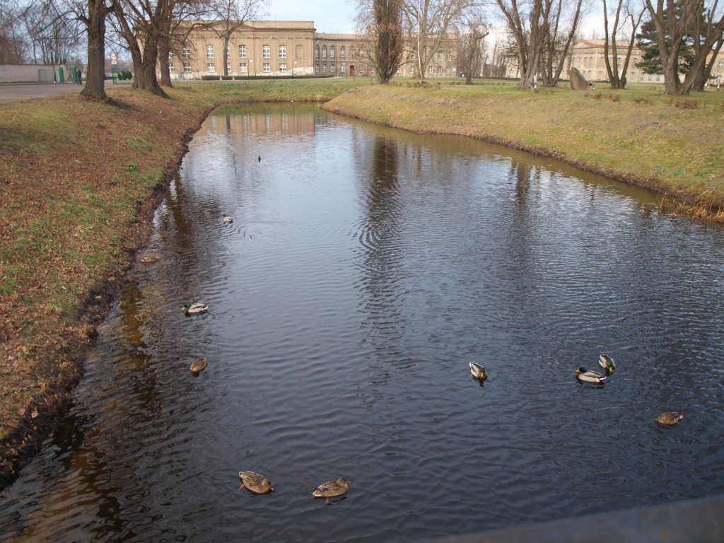 Zdjęcia: RYDZYNA, ZAMEK, POLSKA Zdjęcia: RYDZYNA, ZAMEK, POLSKA