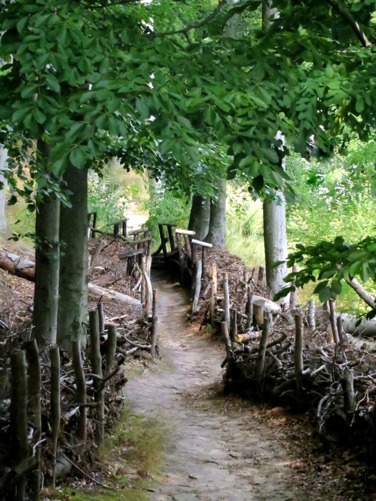 Zdjęcia: Puszcza Bukowa, Szczeciński Park Krajobrazowy, Zachodniopomorskie, leśna ścieżka..., POLSKA Zdjęcia: Puszcza Bukowa, Szczeciński Park Krajobrazowy, Zachodniopomorskie, leśna ścieżka..., POLSKA