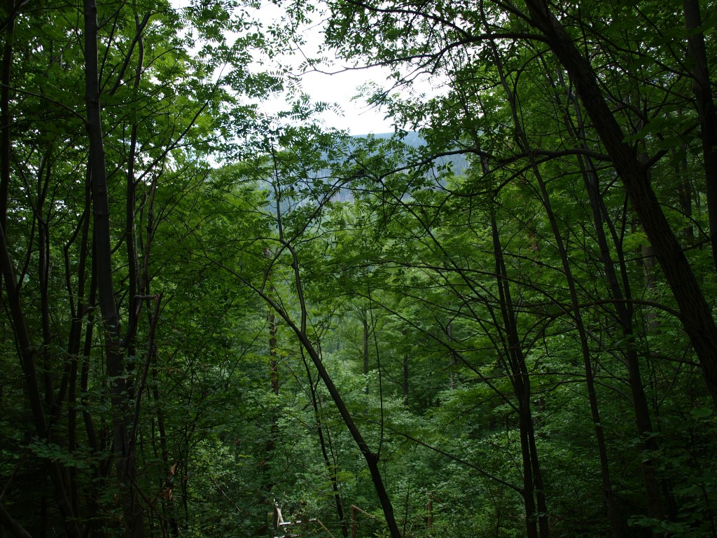 Zdjęcia: Karpacz, karkonosze, POLSKA Zdjęcia: Karpacz, karkonosze, POLSKA