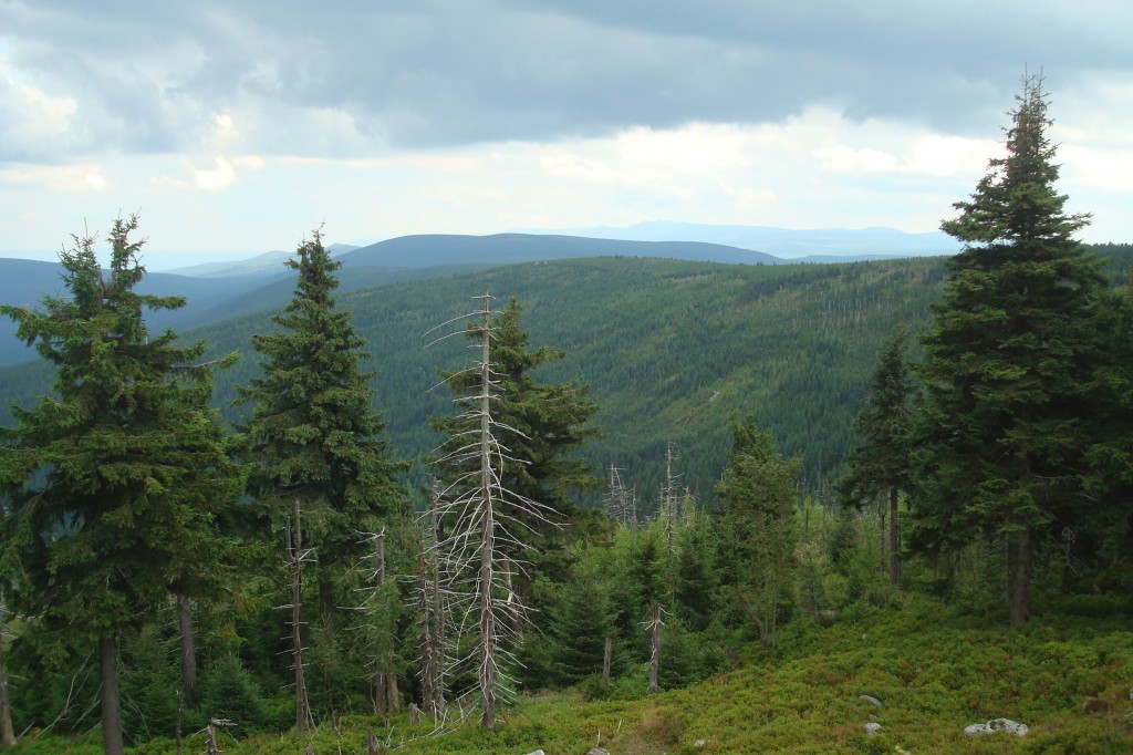 Zdjęcia: Świeradów Zdrój, Karkonosze, Góry Izerskie, POLSKA Zdjęcia: Świeradów Zdrój, Karkonosze, Góry Izerskie, POLSKA