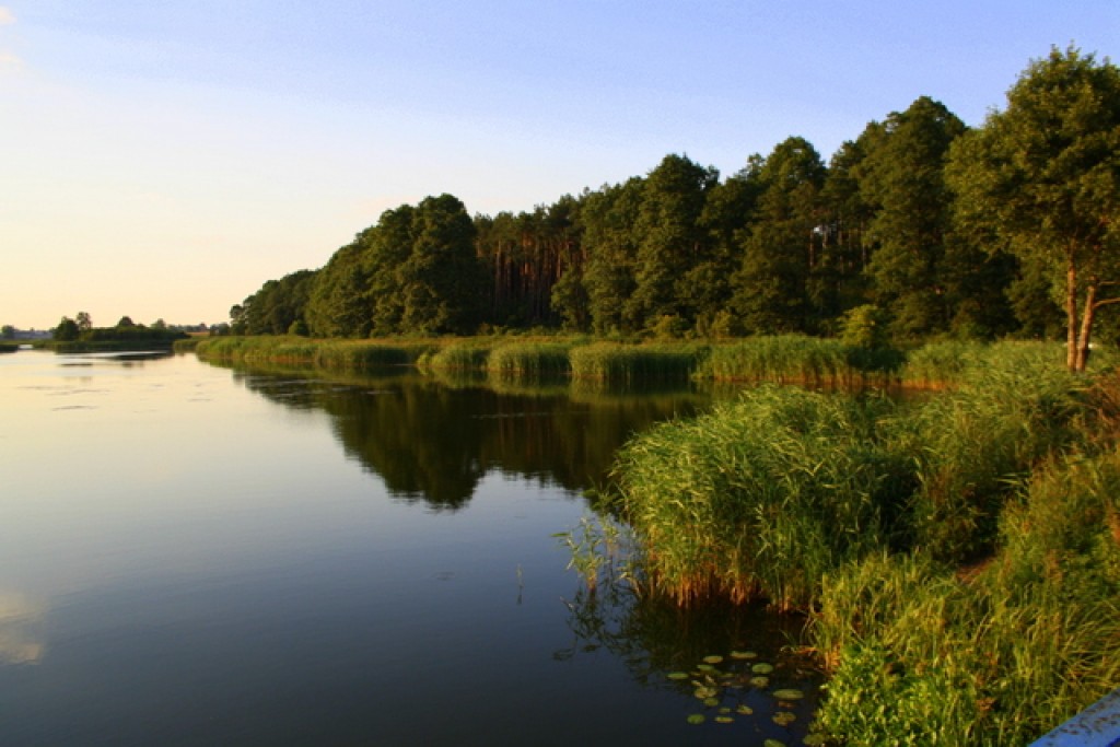Zdjęcia: Zalew Karwacki, Mazowsze, Zalew Karwacki, POLSKA Zdjęcia: Zalew Karwacki, Mazowsze, Zalew Karwacki, POLSKA