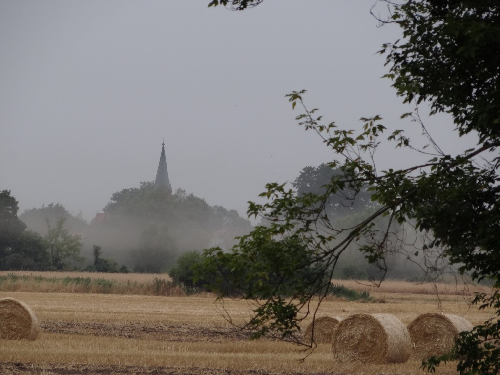 Zdjęcia: Wielkopolska, Wielkopolska, Krajobraz po zniwach, POLSKA Zdjęcia: Wielkopolska, Wielkopolska, Krajobraz po zniwach, POLSKA