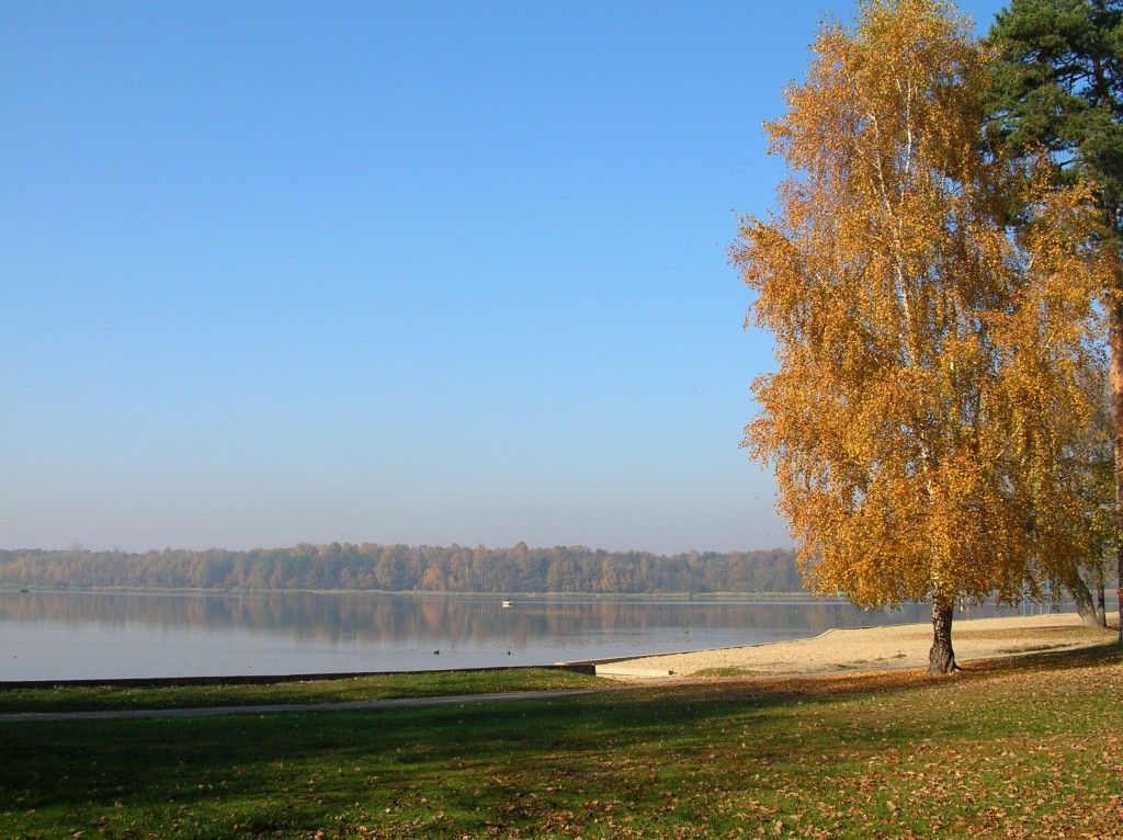 Zdjęcia: Tychy - Paprocany, Górny Śląsk, Paprocany - jezioro, POLSKA Zdjęcia: Tychy - Paprocany, Górny Śląsk, Paprocany - jezioro, POLSKA