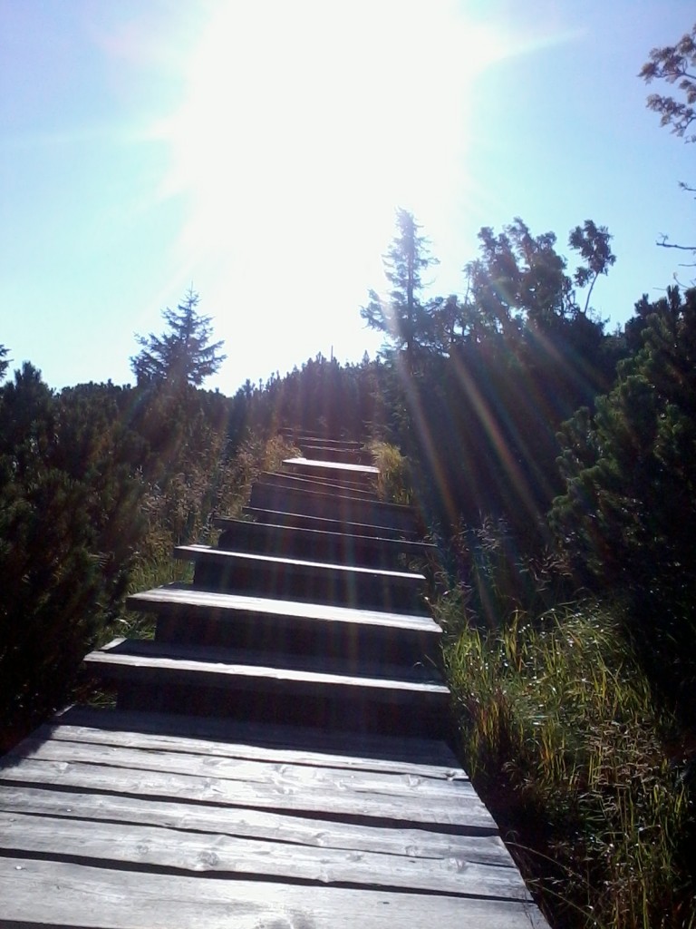 Zdjęcia: szklarska poręba, karkonosze, schody, POLSKA Zdjęcia: szklarska poręba, karkonosze, schody, POLSKA
