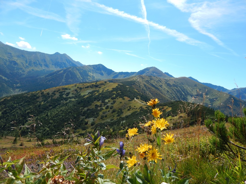 Zdjęcia: Grześ, Tatry Zachodnie, Panorama z Grzesia, POLSKA Zdjęcia: Grześ, Tatry Zachodnie, Panorama z Grzesia, POLSKA