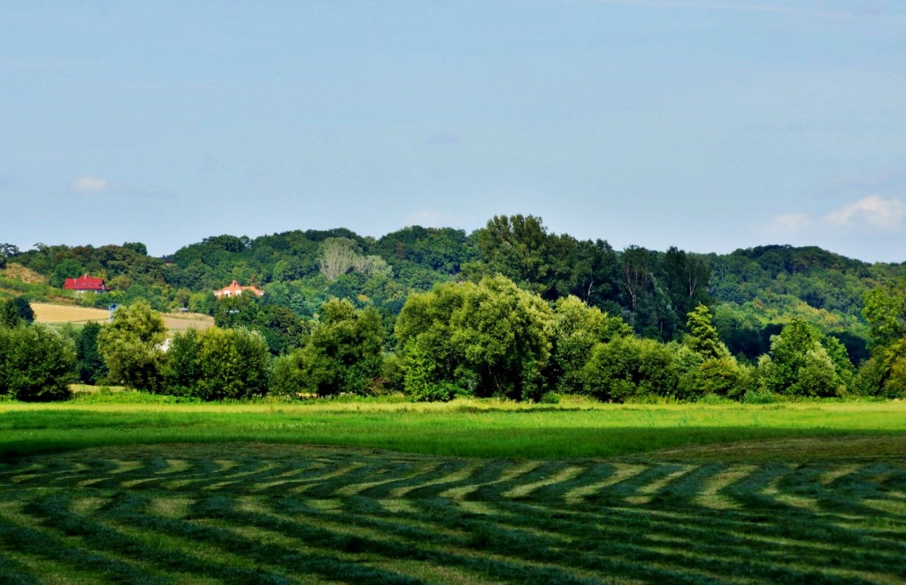 Zdjęcia: Strzelce Górne, Kuj-pom., Kujawski widok., POLSKA Zdjęcia: Strzelce Górne, Kuj-pom., Kujawski widok., POLSKA