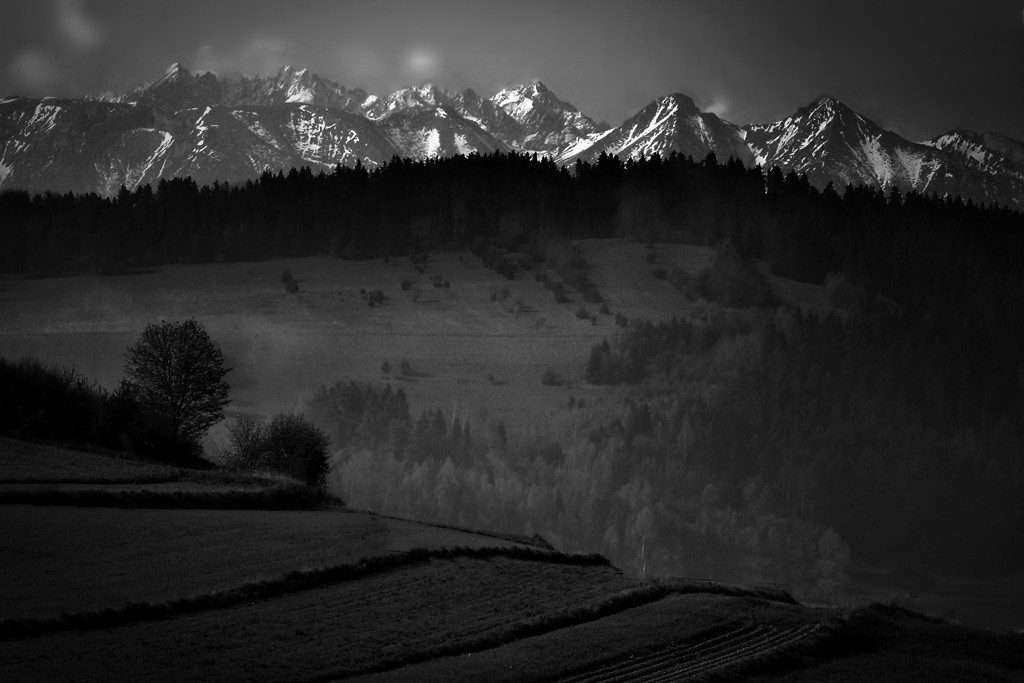 Zdjęcia: Pieniny, małopolska, Srebrna korona lasu, POLSKA Zdjęcia: Pieniny, małopolska, Srebrna korona lasu, POLSKA