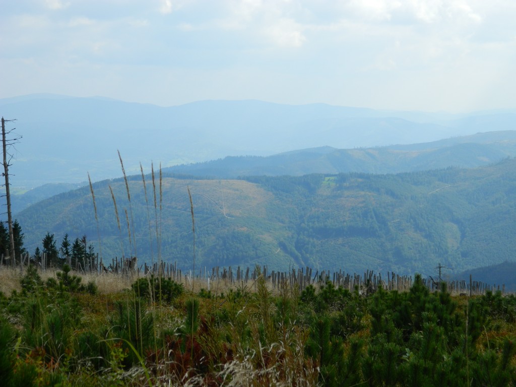 Zdjęcia: skrzyczne, Beskid, Skrzyczne i widoki..., POLSKA Zdjęcia: skrzyczne, Beskid, Skrzyczne i widoki..., POLSKA