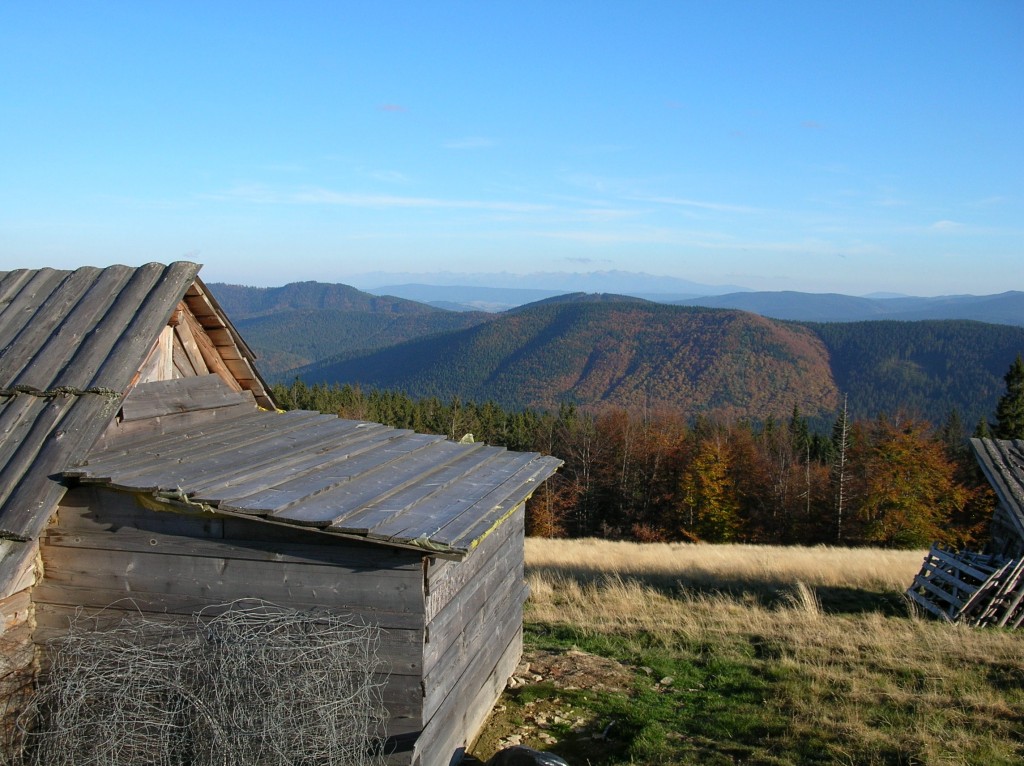 Zdjęcia: Hala Rycerzowa, Beskid Żywiecki, Hala Rycerzowa III, POLSKA Zdjęcia: Hala Rycerzowa, Beskid Żywiecki, Hala Rycerzowa III, POLSKA
