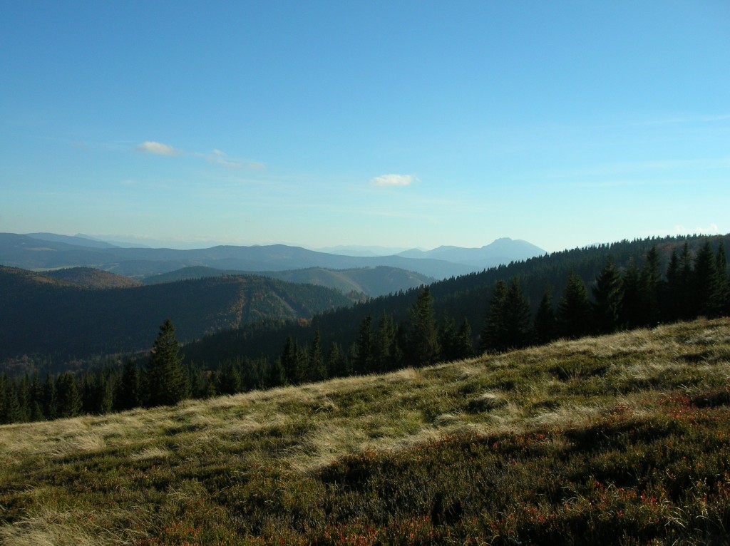 Zdjęcia: Hala Rycerzowa, Beskid Żywiecki, Widok z Rycerzowej na Małą Fatrę, POLSKA Zdjęcia: Hala Rycerzowa, Beskid Żywiecki, Widok z Rycerzowej na Małą Fatrę, POLSKA