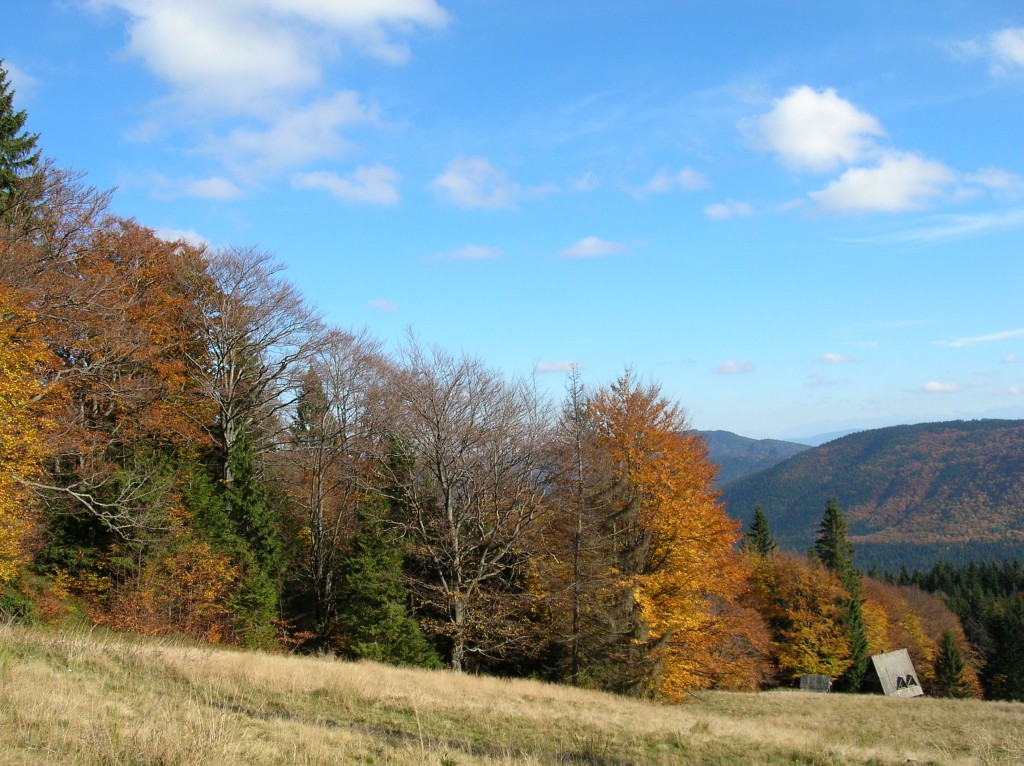 Zdjęcia: Hala Rycerzowa, Beskid Żywiecki, Hala Rycerzowa IV, POLSKA Zdjęcia: Hala Rycerzowa, Beskid Żywiecki, Hala Rycerzowa IV, POLSKA