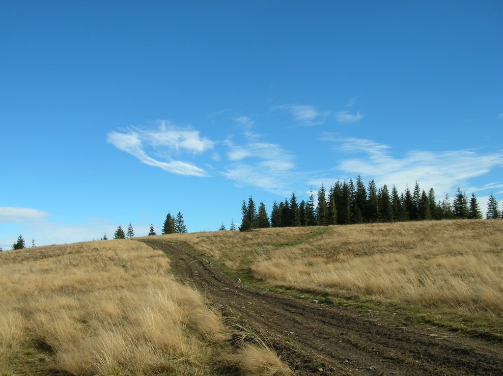 Zdjęcia: Hala Malorka, Beskid Żywiecki, Beskidzka hala, POLSKA Zdjęcia: Hala Malorka, Beskid Żywiecki, Beskidzka hala, POLSKA