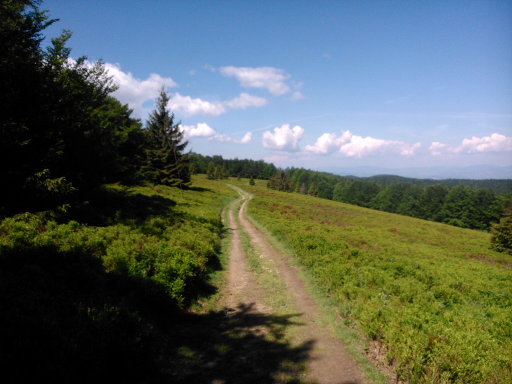 Zdjęcia: Niedaleko od Hali Łabowskiej, Beskid Sądecki, Bieszczady- Karkonosze (krajobraz), POLSKA Zdjęcia: Niedaleko od Hali Łabowskiej, Beskid Sądecki, Bieszczady- Karkonosze (krajobraz), POLSKA