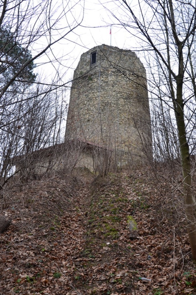 Zdjęcia: Czchów, Małopolska, Ruiny Zamku, POLSKA Zdjęcia: Czchów, Małopolska, Ruiny Zamku, POLSKA