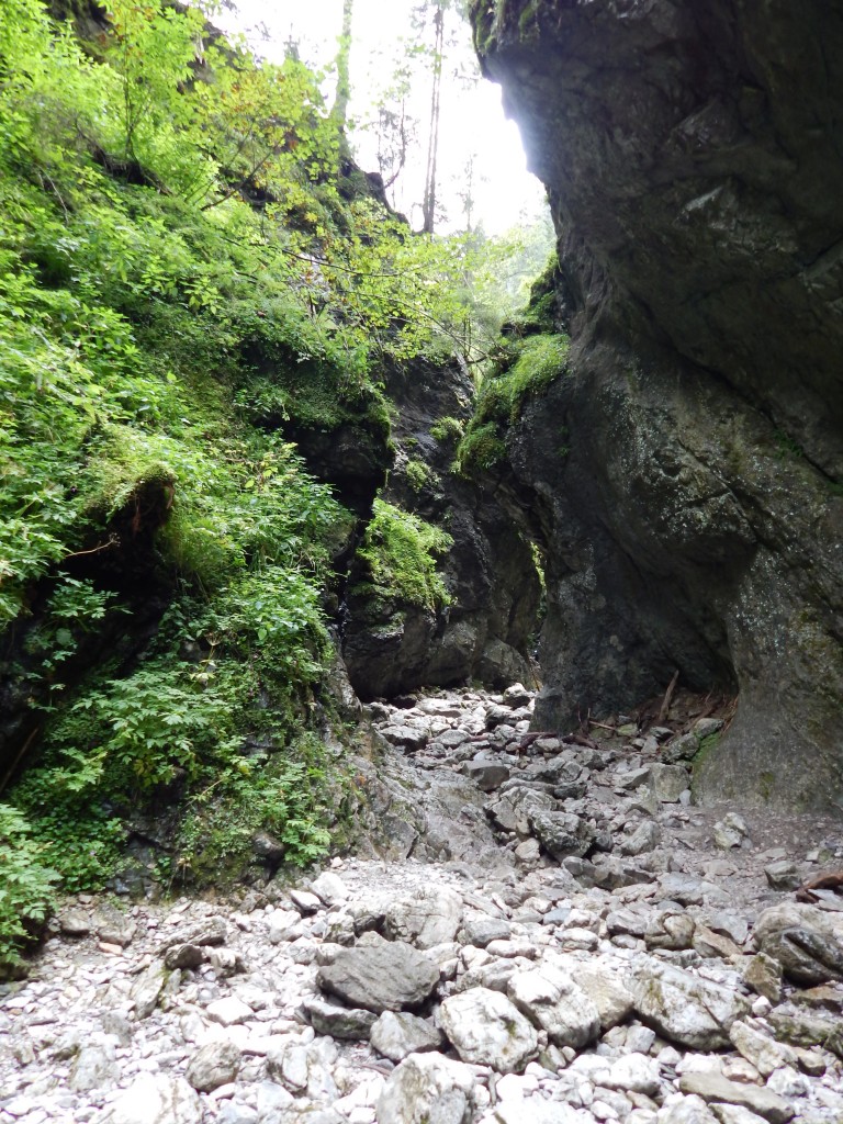 Zdjęcia: Wąwóz Kraków, Tatry, Małe jest piękne, POLSKA Zdjęcia: Wąwóz Kraków, Tatry, Małe jest piękne, POLSKA