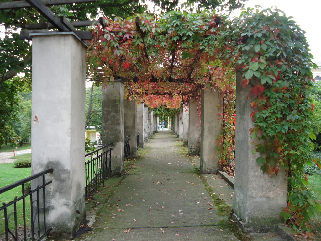 Zdjęcia: Skierniewice, Województwo łódzkie, W parku pałacowym, POLSKA Zdjęcia: Skierniewice, Województwo łódzkie, W parku pałacowym, POLSKA